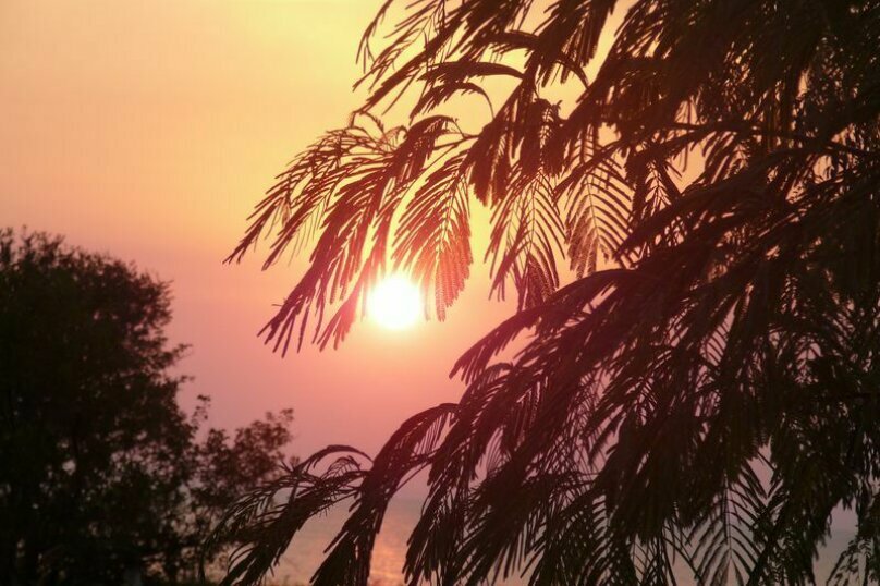 Гостевой дом Крымские дачи Щёлкино-18