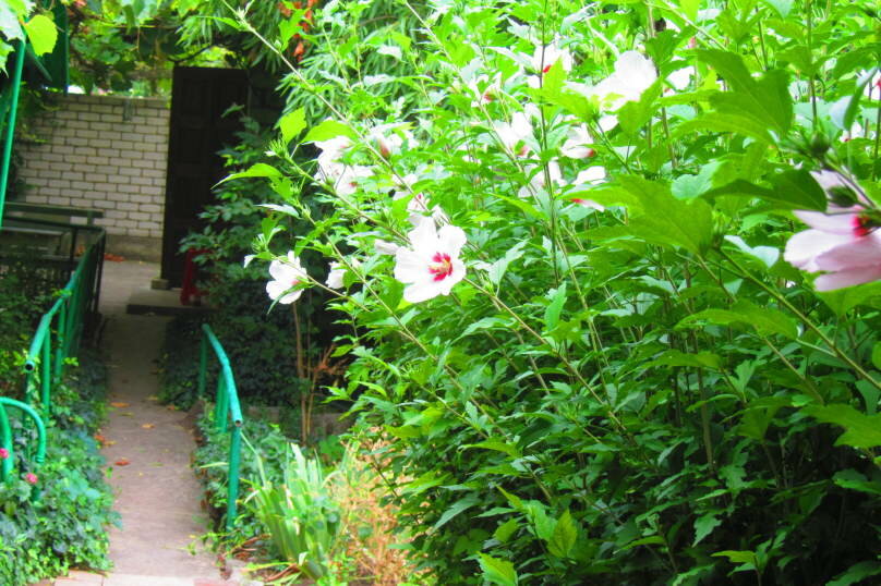 Гостевой дом Крымские дачи Щёлкино-17