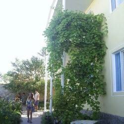 Гостевой дом Крымские дачи Щёлкино-47