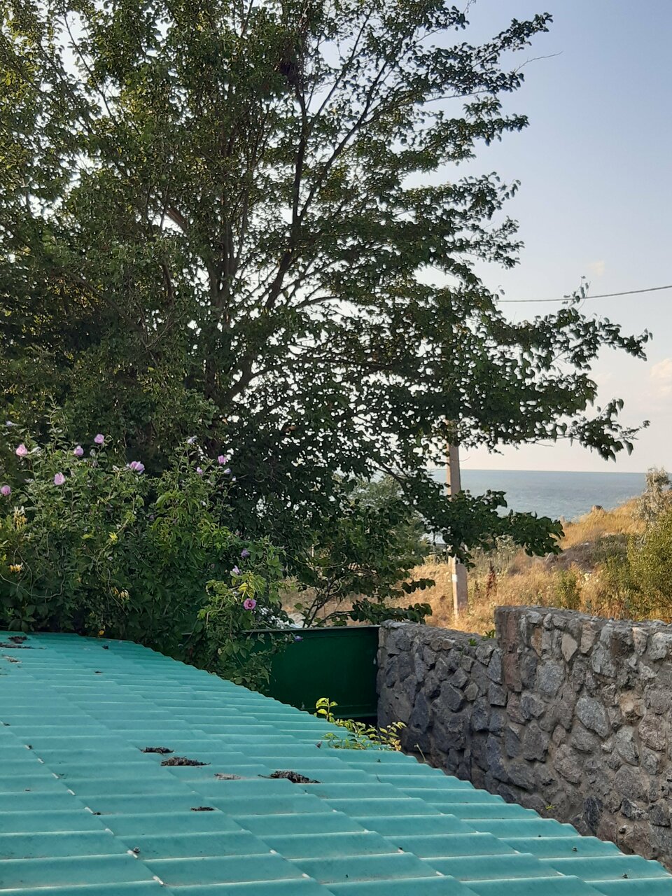 Гостевой дом Крымские дачи Щёлкино-246