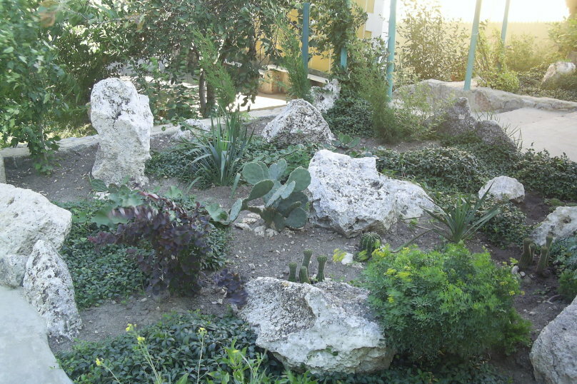 Гостевой дом Крымские дачи Щёлкино-12