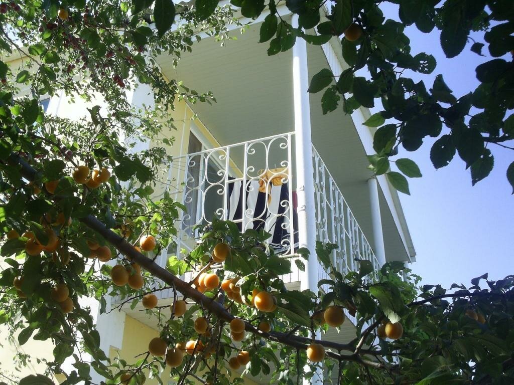 Гостевой дом Крымские дачи Щёлкино-71