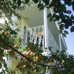 Гостевой дом Крымские дачи Щёлкино-110