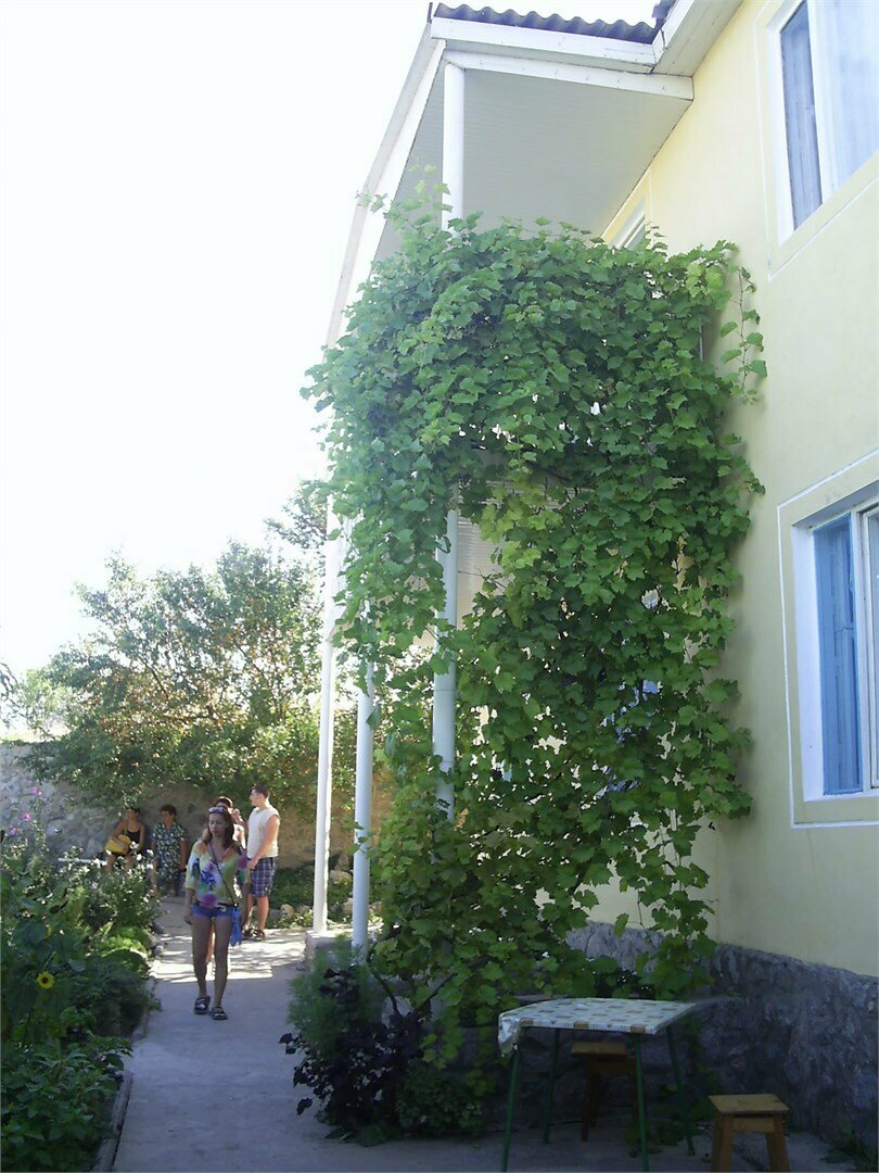 Гостевой дом Крымские дачи Щёлкино