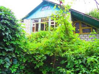 Гостевой дом Крымские дачи Щёлкино-5