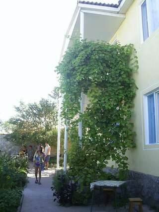 Гостевой дом Крымские дачи Щёлкино Стандартный номер с двумя кроватями размера «queen-size»-2