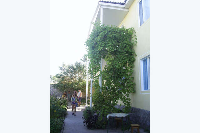 Гостевой дом Крымские дачи Щёлкино-133