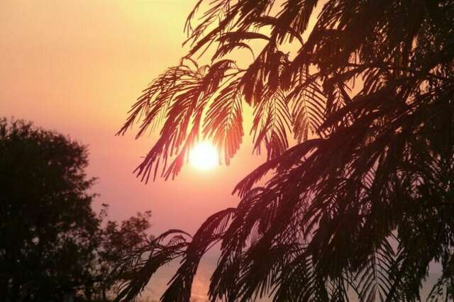 Гостевой дом Крымские дачи Щёлкино-17