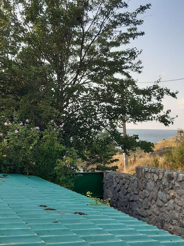 Гостевой дом Крымские дачи Щёлкино-245