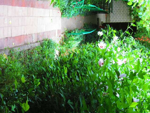 Гостевой дом Крымские дачи Щёлкино-61