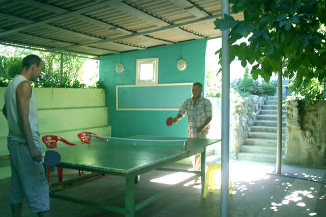 Гостевой дом Крымские дачи Щёлкино-20