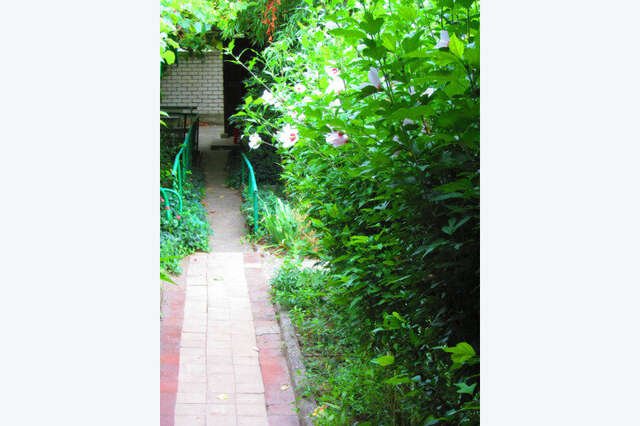 Гостевой дом Крымские дачи Щёлкино-52