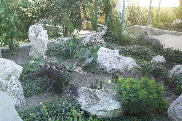 Гостевой дом Крымские дачи Щёлкино-11