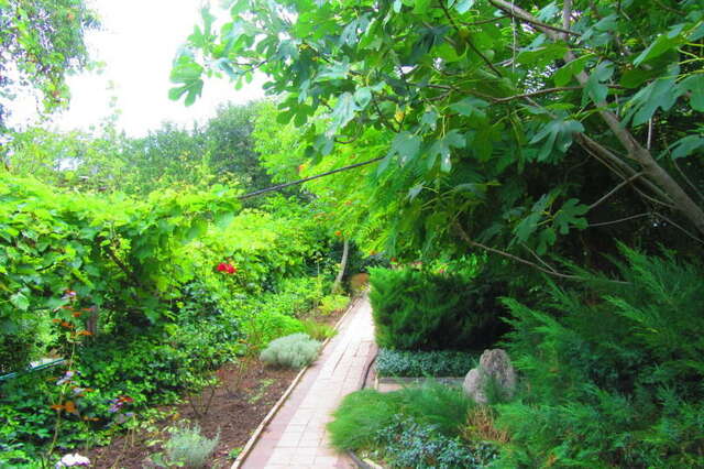 Гостевой дом Крымские дачи Щёлкино-22