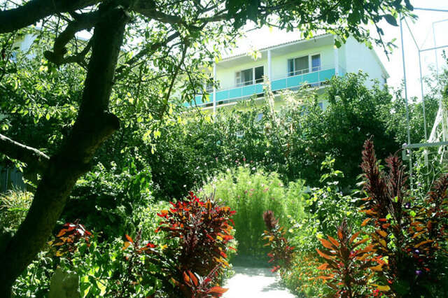 Гостевой дом Крымские дачи Щёлкино-45