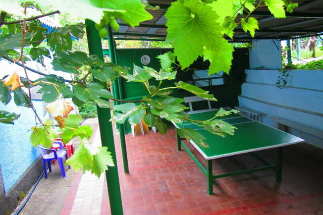 Гостевой дом Крымские дачи Щёлкино-30