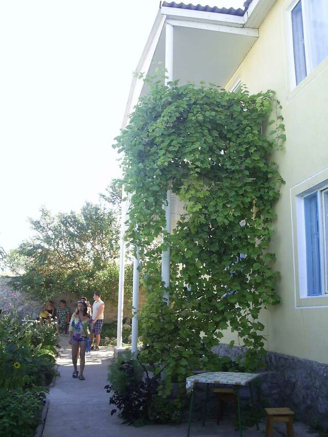 Гостевой дом Крымские дачи Щёлкино-105