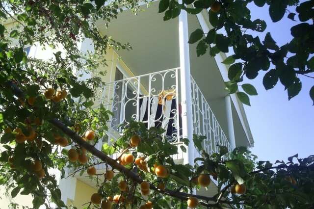 Гостевой дом Крымские дачи Щёлкино-18